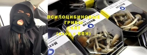 эйфоретик Бердск