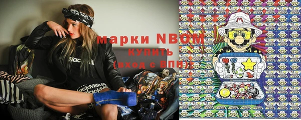 индика Лиски