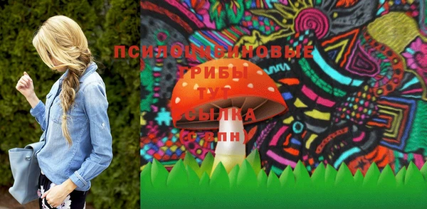 индика Лиски