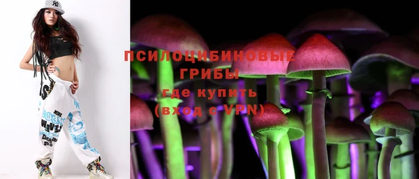 индика Лиски
