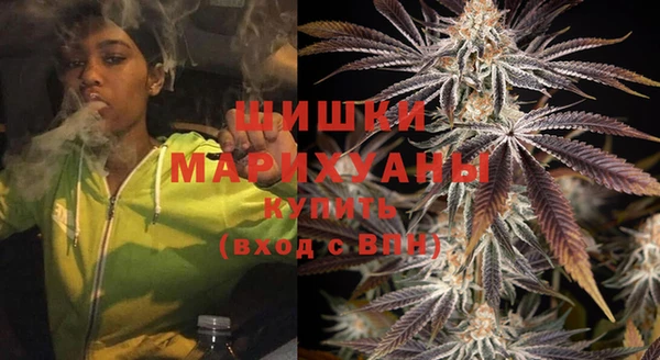 сатива Липки