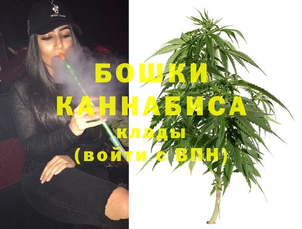 сатива Липки