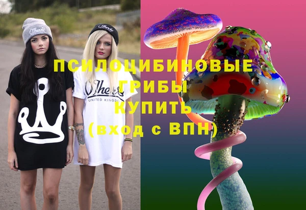 сатива Липки