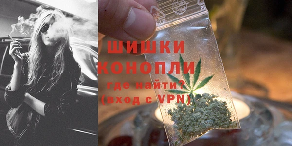 индика Лиски