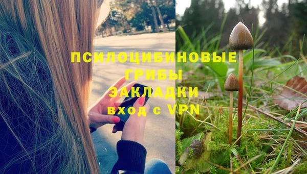 дживик Лихославль