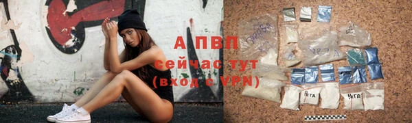 сатива Липки