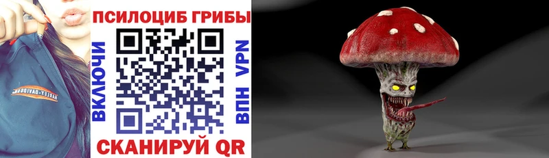 купить  цена  Зуевка  Псилоцибиновые грибы Psilocybe 